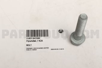 218213K556K BOLT
