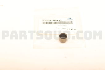2222435000 SEAL-VALVE STEM