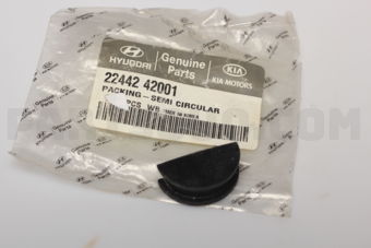 2244242001 PACKING-SEMI CIRCULAR