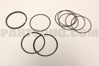 2304022962 RING SET-PISTON