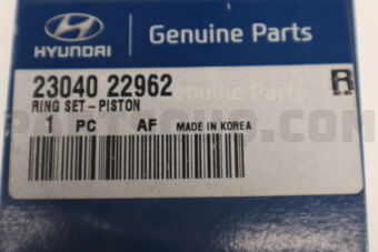 2304022962 RING SET-PISTON