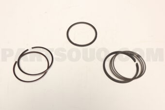 2304022962 RING SET-PISTON