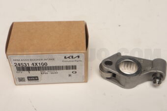 245314X100 ARM ASSY-ROCKER