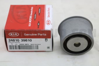 2481039810 PULLEY-IDLER