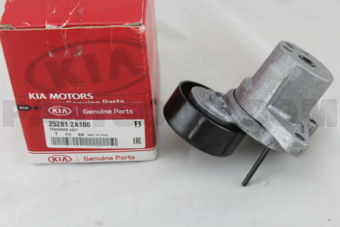 252812A100 TENSIONER ASSY