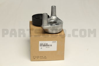2528137120 TENSIONER ASSY