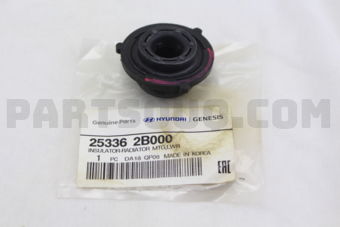 253362B000 INSULATOR-RADIATOR MTG LWR