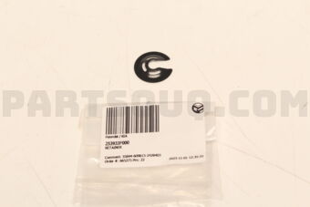 253933F000 RETAINER