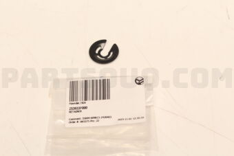 253933F000 RETAINER