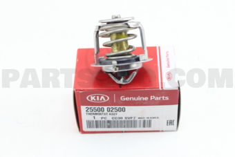 2550002500 THERMOSTAT ASSY