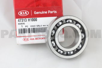 47313H1000 BEARING
