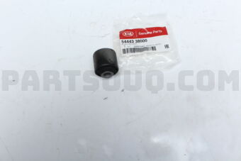 5444338000 BUSH-UPR ARM