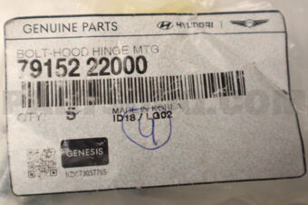7915222000 BOLT-HINGE MTG