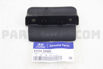 812543S000 HDL-TRUNK LID HOOK