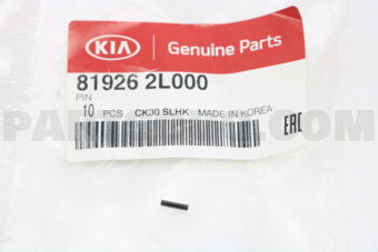 819262L000 PIN