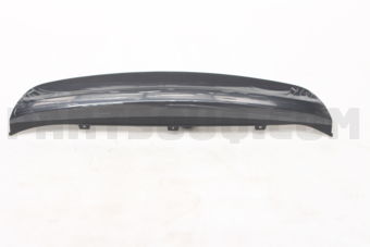 866951M000 COVER-RR BUMPER CTR