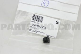 8684822000 Hyundai / KIA RETAINER
