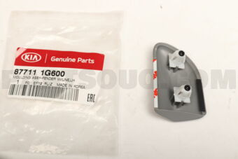 877111G600 MOULDING-FNDR W/L LH