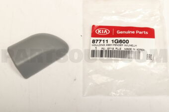 877111G600 MOULDING-FNDR W/L LH