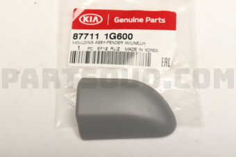 877111G600 MOULDING-FNDR W/L LH