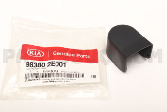 983802E001 CAP-W/WPR ARM