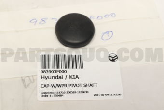 983903F000 CAP-W/WPR PIVOT SHAFT