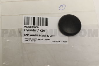 983903F000 CAP-W/WPR PIVOT SHAFT