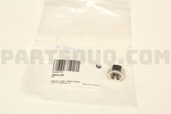 K999211200 NUT