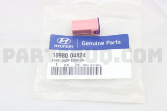 1898004824 FUSE-SLOW BLOW 30A