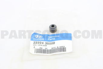 2222438000 SEAL-VALVE STEM INLET