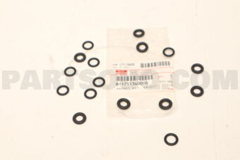 8171134000 GASKET; INJE