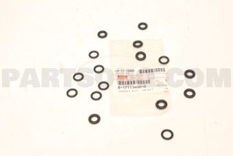 8171134000 GASKET; INJE