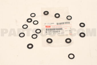 8171134000 GASKET; INJE