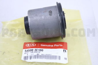 545803E100 BUSH-LWR ARM FR