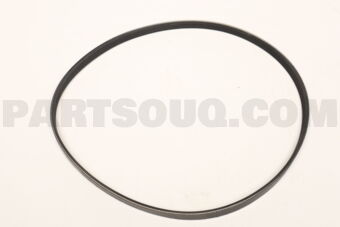 4PK875 RIB BELT