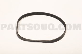 6PK955 RIB BELT