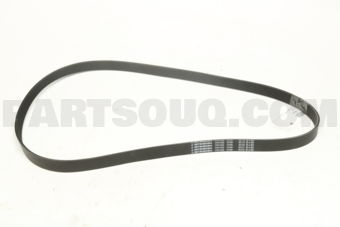 7PK1550 RIB BELT