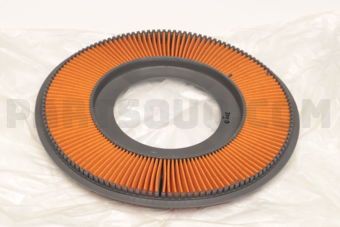 B36613Z40 AIR FILTER BG94