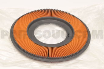 B36613Z40 AIR FILTER BG94