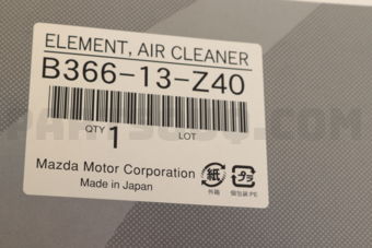 B36613Z40 AIR FILTER BG94