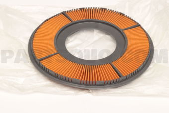 B36613Z40 AIR FILTER BG94
