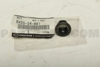 B45534091 NUT