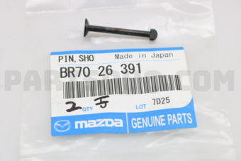 BR7026391 PIN,SHOE HOLD