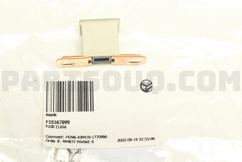 F15167099 FUSE (120A)