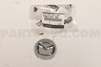 FE8137192 CAP,CENTER