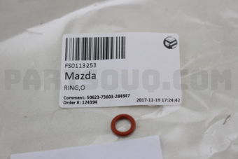 FS0113253 RING,O