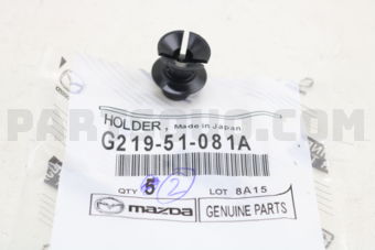 G21951081A FASTENER