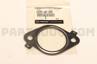 G65540305 GASKET