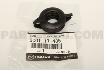 GC0117485 BOOT
