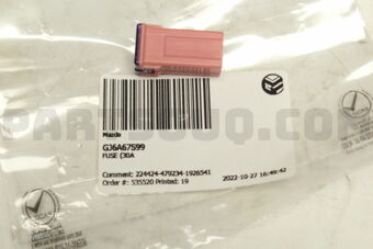 GJ6A67S99 FUSE (30A)